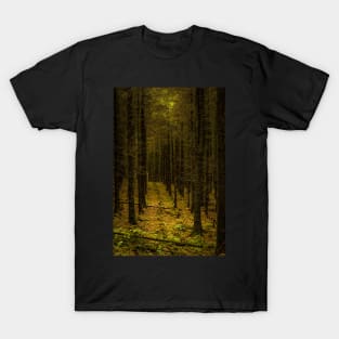 Briton Ferry Plantation - Mynydd Yr Gaer - 2013 T-Shirt